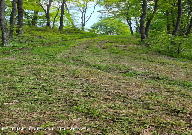 Photo 4 of Land for sale at 183 Persimmon Ln, Pioneer, TN 37847 | MLS# 1344659 | Listing updated on 2026-09-21
