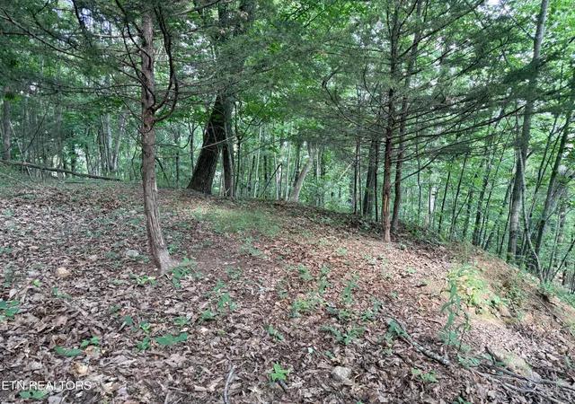 Homes for sale in New Tazewell, TN | Lot 188 Chimney Rock Rd, New Tazewell, TN 37825 | MLS# 1344889