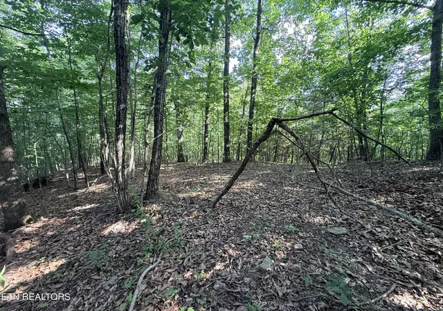 Homes for sale in New Tazewell, TN | Lot 188 Chimney Rock Rd, New Tazewell, TN 37825 | MLS# 1344889