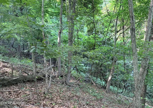 Homes for sale in New Tazewell, TN | Lot 188 Chimney Rock Rd, New Tazewell, TN 37825 | MLS# 1344889