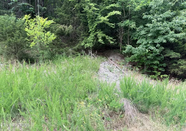 Homes for sale in New Tazewell, TN | Lot 188 Chimney Rock Rd, New Tazewell, TN 37825 | MLS# 1344889
