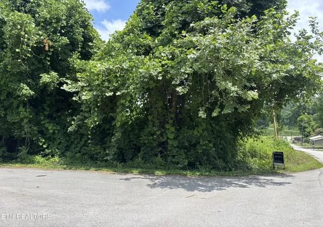 Photo 4 of Land for sale at 0 Davis Holw Rd, Harriman, TN 37748 | MLS# 1344667 | Listing updated on 2026-06-15