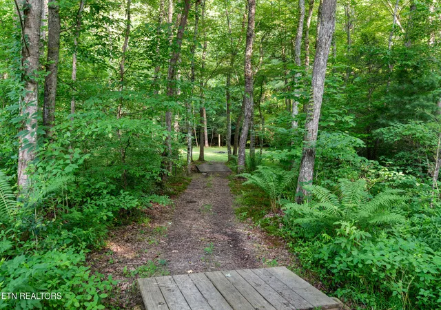Homes for sale in Tellico Plains, TN | 610 Towee Falls Rd, Tellico Plains, TN 37385 | MLS# 1344784
