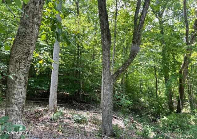 3rd image of 64 Riddle St, Dayton, TN 37321 | MLS# 1344680