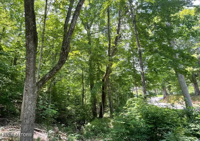 4th image of 64 Riddle St, Dayton, TN 37321 | MLS# 1344680