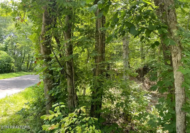 5th image of 64 Riddle St, Dayton, TN 37321 | MLS# 1344680