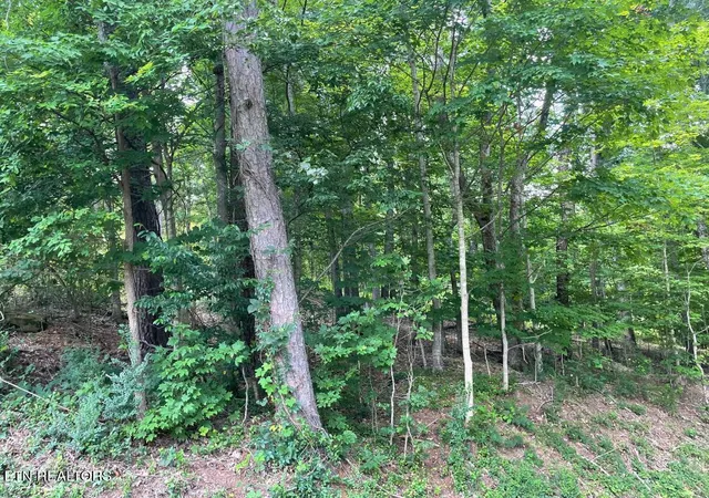 6th image of 64 Riddle St, Dayton, TN 37321 | MLS# 1344680
