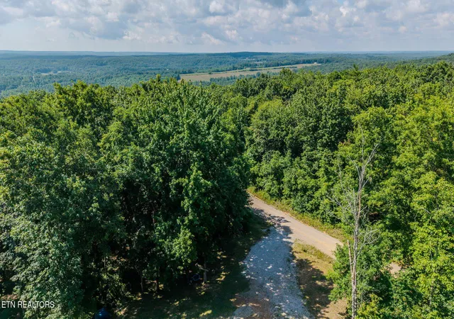 Homes for sale in Spring City, TN | 1360 Luminary Firetower Rd #9, Spring City, TN 37381 | MLS# 1346118