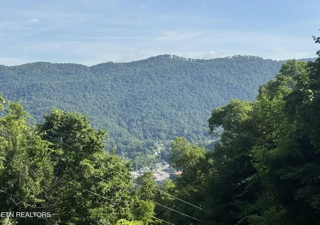 Homes for sale in Big Stone Gap, VA | Tbd Wallens Ridge Rd, Big Stone Gap, VA 24219 | MLS# 1344728