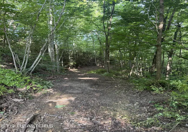 3rd image of Tbd Wallens Ridge Rd, Big Stone Gap, VA 24219 | MLS# 1344728