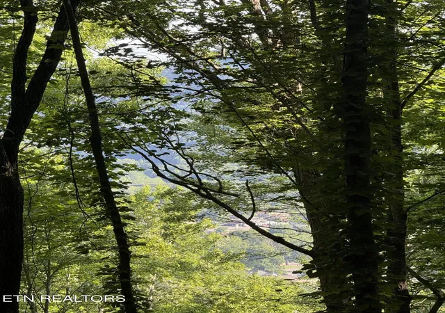 4th image of Tbd Wallens Ridge Rd, Big Stone Gap, VA 24219 | MLS# 1344728
