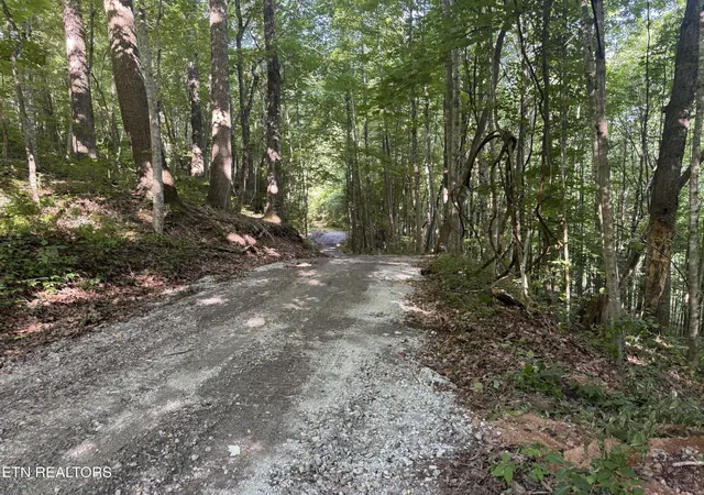 Homes for sale in Big Stone Gap, VA | Tbd Wallens Ridge Rd, Big Stone Gap, VA 24219 | MLS# 1344728