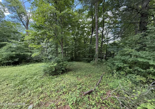 3rd image of Shoreline Cir, La Follette, TN 37766 | MLS# 1344718