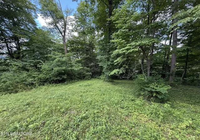 4th image of Shoreline Cir, La Follette, TN 37766 | MLS# 1344718