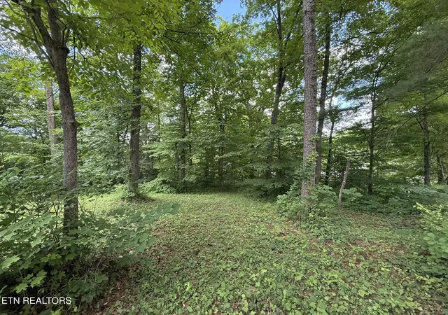 5th image of Shoreline Cir, La Follette, TN 37766 | MLS# 1344718
