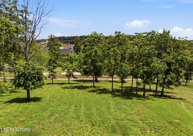 Photo 3 of Land for sale at 903 Mockingbird Ln, Loudon, TN 37774 | MLS# 1345017 | Listing updated on 2026-10-02