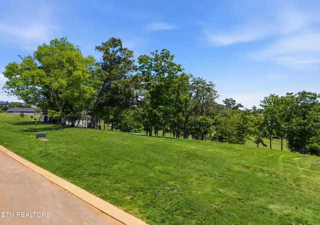 Photo 4 of Land for sale at 903 Mockingbird Ln, Loudon, TN 37774 | MLS# 1345017 | Listing updated on 2026-10-02