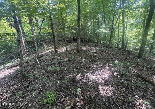 1st image of 332 Padgett Mill Rd, Cosby, TN 37722 | MLS# 1344802