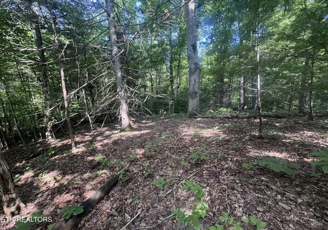 2nd image of 332 Padgett Mill Rd, Cosby, TN 37722 | MLS# 1344802