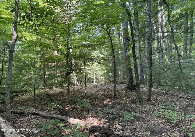 4th image of 332 Padgett Mill Rd, Cosby, TN 37722 | MLS# 1344802
