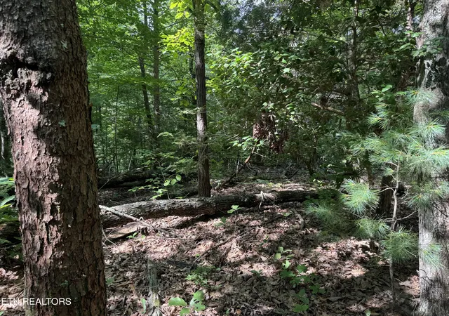 5th image of 332 Padgett Mill Rd, Cosby, TN 37722 | MLS# 1344802