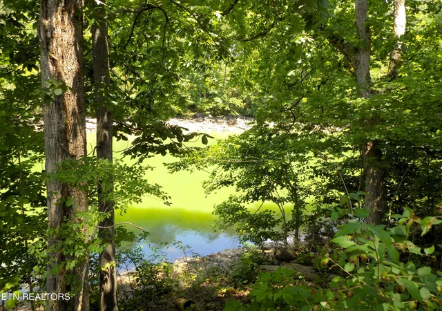 Homes for sale in Morristown, TN | Lot 13 Shorewood Pt, Morristown, TN 37814 | MLS# 1344811