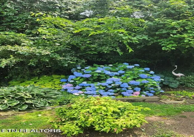 19th image of 3701 Solway Rd, Knoxville, TN 37931 | MLS# 1345357