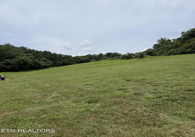 Homes for sale in Friendsville, TN | Parks Ferry Rd #Lot 1, Friendsville, TN 37737 | MLS# 1345104