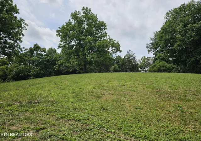 5th image of 264 Old Long Hollow Rd, La Follette, TN 37766 | MLS# 1344884