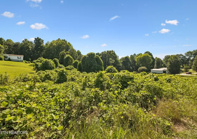 Homes for sale in Madisonville, TN | 140 Scenic View Ln, Madisonville, TN 37354 | MLS# 1345186