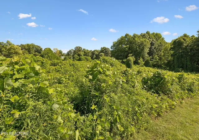 Homes for sale in Madisonville, TN | 140 Scenic View Ln, Madisonville, TN 37354 | MLS# 1345186