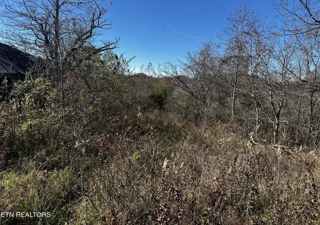 2nd image of Shaddon Road Lot 1, Tellico Plains, TN 37385 | MLS# 1345250