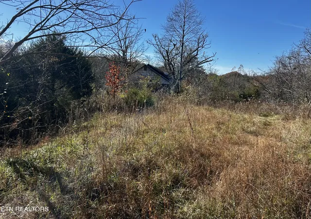 Photo 3 of Land for sale at Shaddon Rd Lot 1, Tellico Plains, TN 37385 | MLS# 1345250 | Listing updated on 2026-06-22