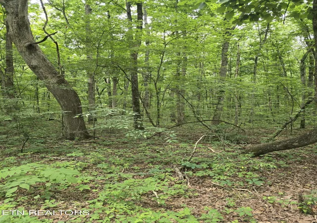 Homes for sale in Crossville, TN | Lot 3 W Wind Wy, Crossville, TN 38572 | MLS# 1344961