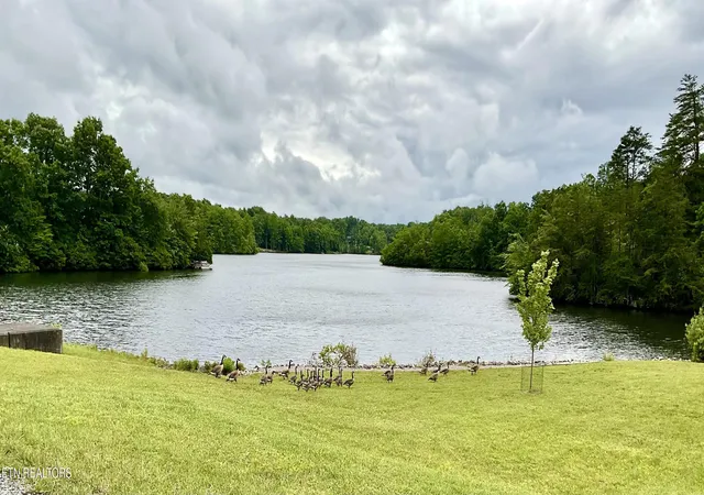 Homes for sale in Monterey, TN | Lot 4 Divide Tr, Monterey, TN 38574 | MLS# 1345266