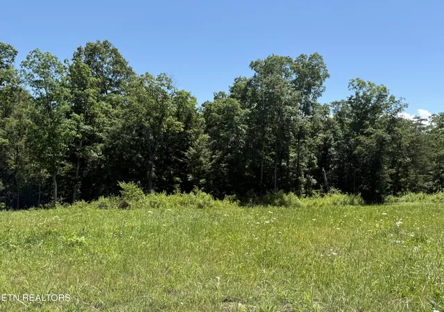 Photo 3 of Land for sale at Riverview Dr Lot 1 & 2, Crossville, TN 38555 | MLS# 1344965 | Listing updated on 2026-06-17