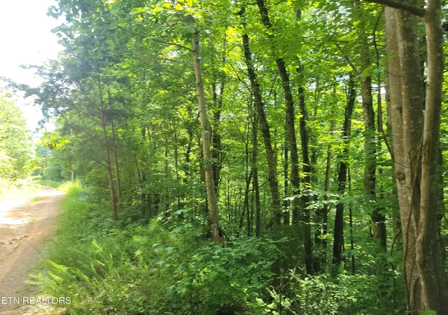 Homes for sale in Sevierville, TN | Lot 81 Buttonwood Dr, Sevierville, TN 37876 | MLS# 1345059