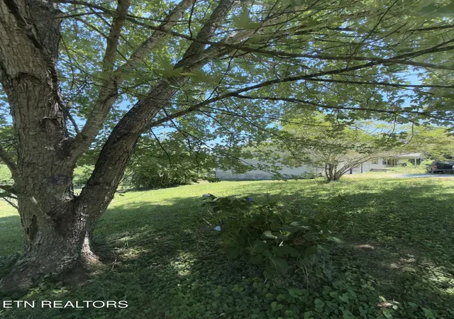 49th image of 1325 Sharp Ln, Caryville, TN 37714 | MLS# 1345134