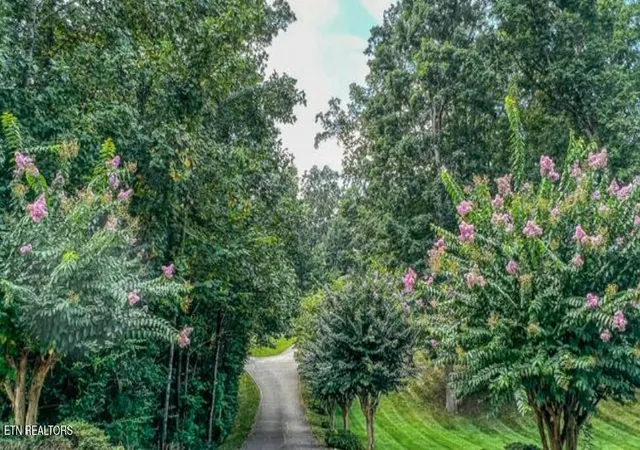 Photo 2 of Single family home for sale at 313 Wooded Ln, Knoxville, TN 37922 | MLS# 1345308 | Listing updated on 2026-08-28