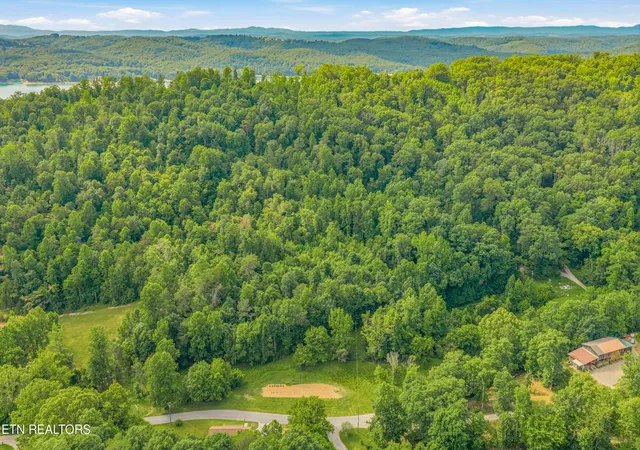 Homes for sale in Andersonville, TN | Dark Hollow Rd, Andersonville, TN 37705 | MLS# 1345033