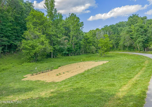 Homes for sale in Andersonville, TN | Dark Hollow Rd, Andersonville, TN 37705 | MLS# 1345033
