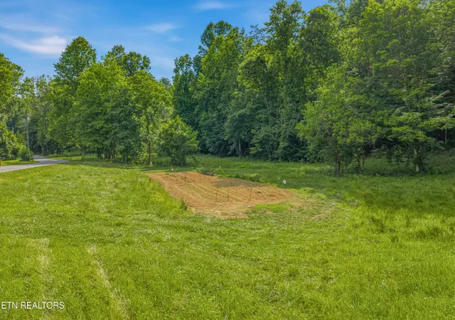 Homes for sale in Andersonville, TN | Dark Hollow Rd, Andersonville, TN 37705 | MLS# 1345033