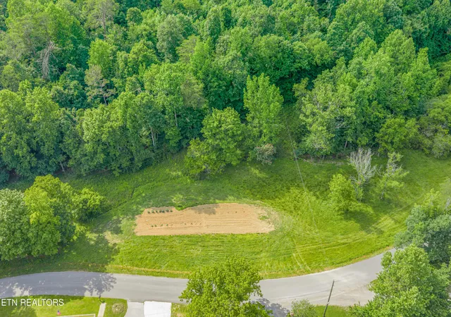 Homes for sale in Andersonville, TN | Dark Hollow Rd, Andersonville, TN 37705 | MLS# 1345033