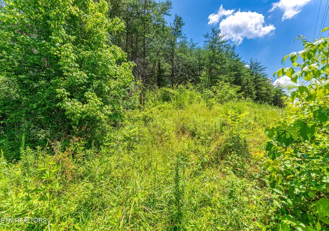 2nd image of 2165 Smelcer Rd, Parrottsville, TN 37843 | MLS# 1345219