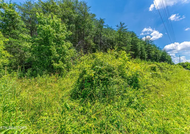 Photo 3 of Land for sale at 2165 Smelcer Rd, Parrottsville, TN 37843 | MLS# 1345219 | Listing updated on 2026-06-19
