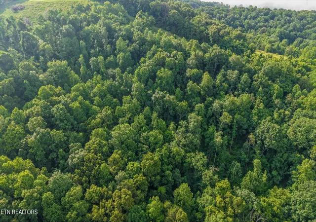 Homes for sale in Maynardville, TN | Lot 2 Graves Hollow Rd, Maynardville, TN 37807 | MLS# 1346036