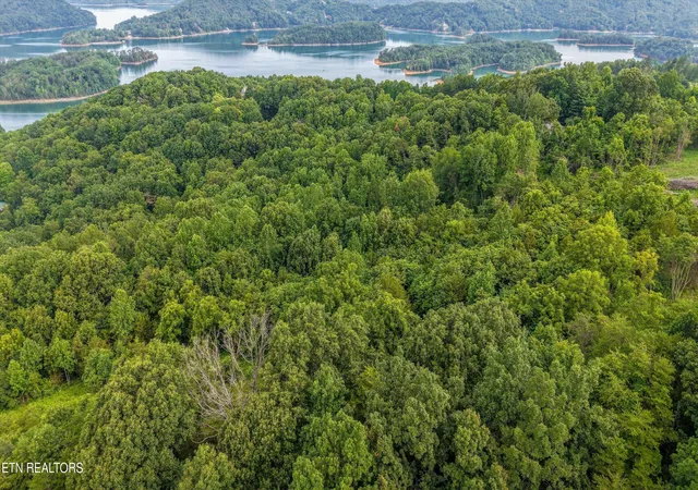 Homes for sale in Maynardville, TN | Lot 2 Graves Hollow Rd, Maynardville, TN 37807 | MLS# 1346036