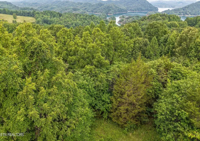 Homes for sale in Maynardville, TN | Graves Hollow Rd #Lot 1, Maynardville, TN 37807 | MLS# 1346035