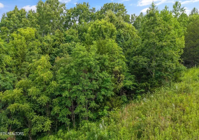 Homes for sale in Maynardville, TN | Graves Hollow Rd #Lot 1, Maynardville, TN 37807 | MLS# 1346035