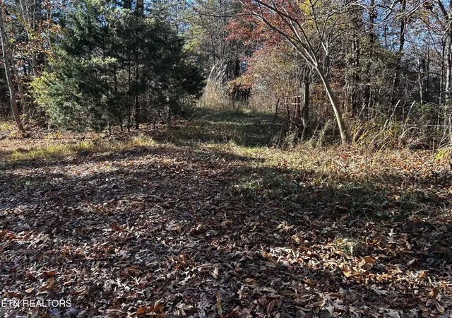 2nd image of Shaddon Road Lot 2, Tellico Plains, TN 37385 | MLS# 1345251
